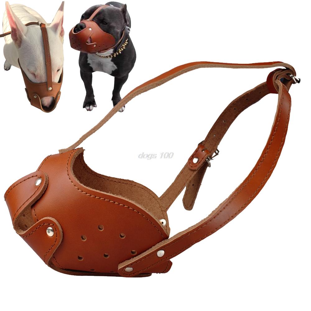 No Bark Dog Traning Muzzle