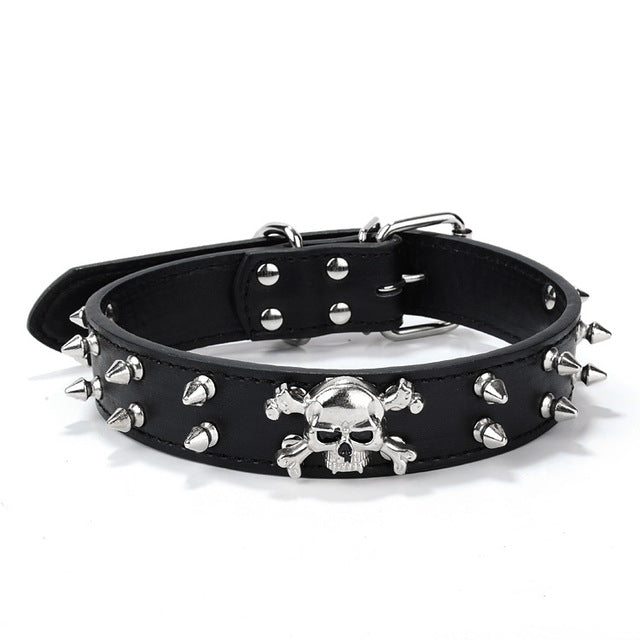 PipiFren Spiked Dogs Collars